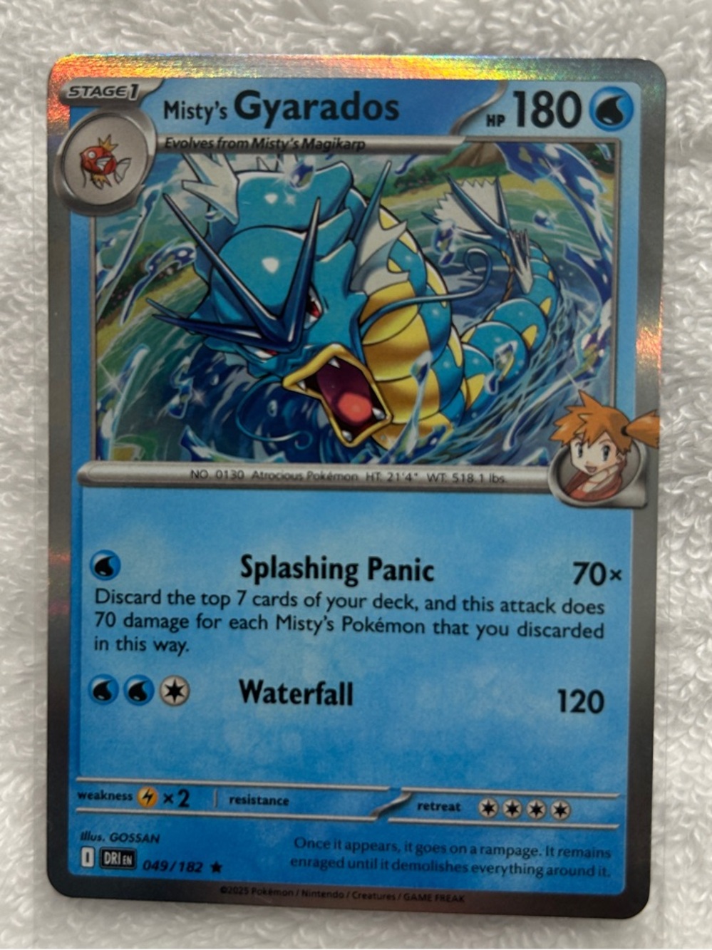 Pokemon Blue-Edged Poké Ball Card Back